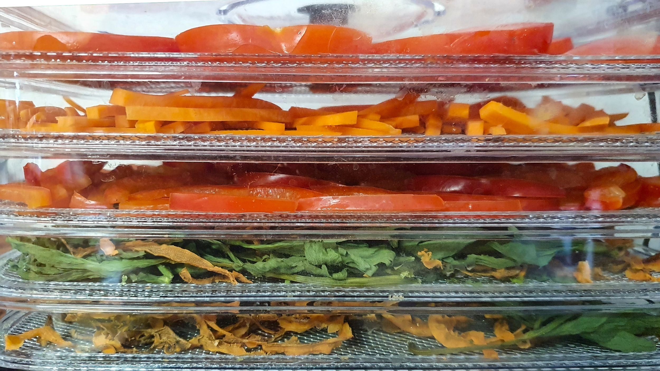 Dehydrators