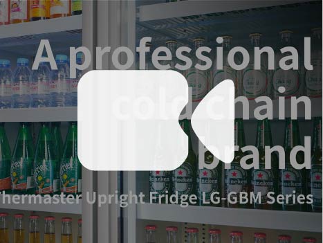 Thermaster Single Door Supermarket Fridge LG-600GBM