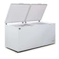 AG BD900S – Commercial Chest Freezer - 850 Litre