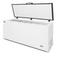 AG BD650S – Stainless Lid Chest Freezer - 550 Litres