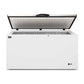 AG BD550S – Stainless Lid Chest Freezer - 450 Litres