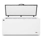 AG BD650S – Stainless Lid Chest Freezer - 550 Litres