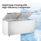 Thermaster 600L Chest Freezer with Stainless Steel Lid – BD600F
