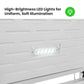 Thermaster 600L Chest Freezer with Stainless Steel Lid – BD600F