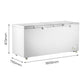 Thermaster 600L Chest Freezer with Stainless Steel Lid – BD600F