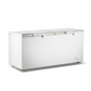 Thermaster 600L Chest Freezer with Stainless Steel Lid – BD600F