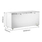 Thermaster 750L Chest Freezer with Stainless Steel Lid – BD750F