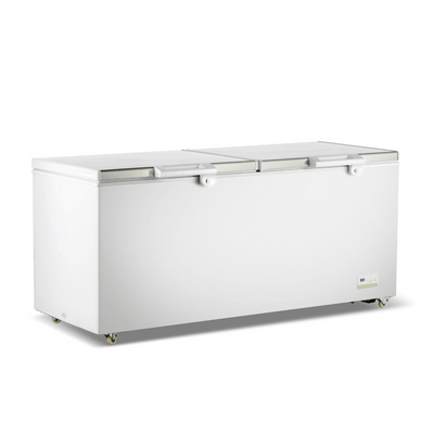 Thermaster 750L Chest Freezer with Stainless Steel Lid – BD750F