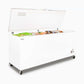 Bromic CF0700FTSS-NR – Storage Chest Freezer - 675L - Stainless Steel Top