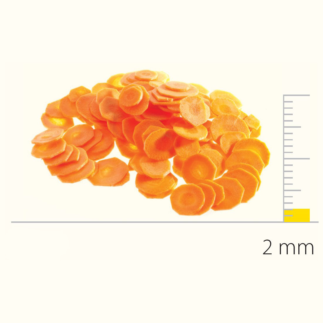 Stainless Steel Slicing Disc With S-Blades 2 mm – DS650083