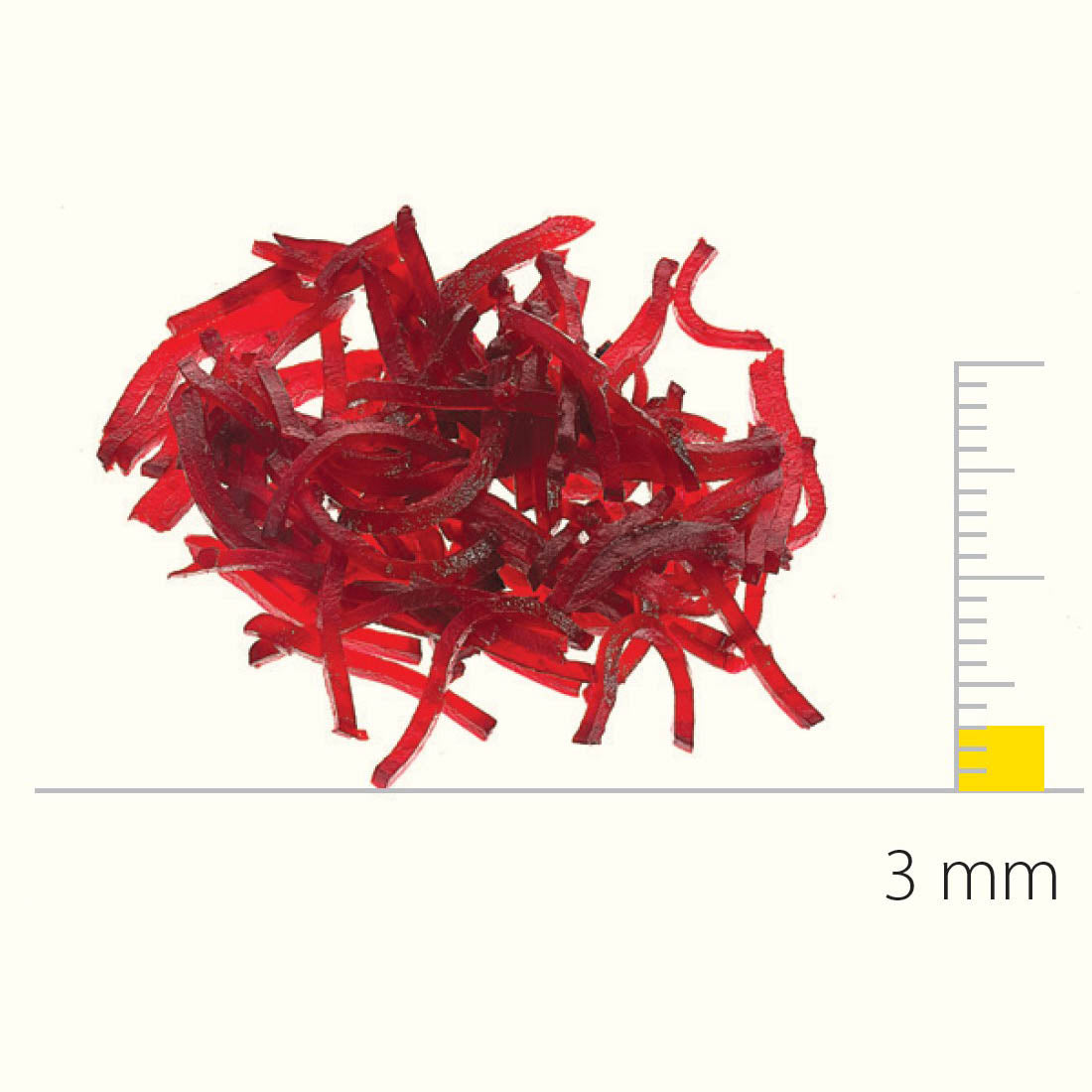 Stainless Steel Shredding Disc With S-Blades 3X3 Mm – DS650167