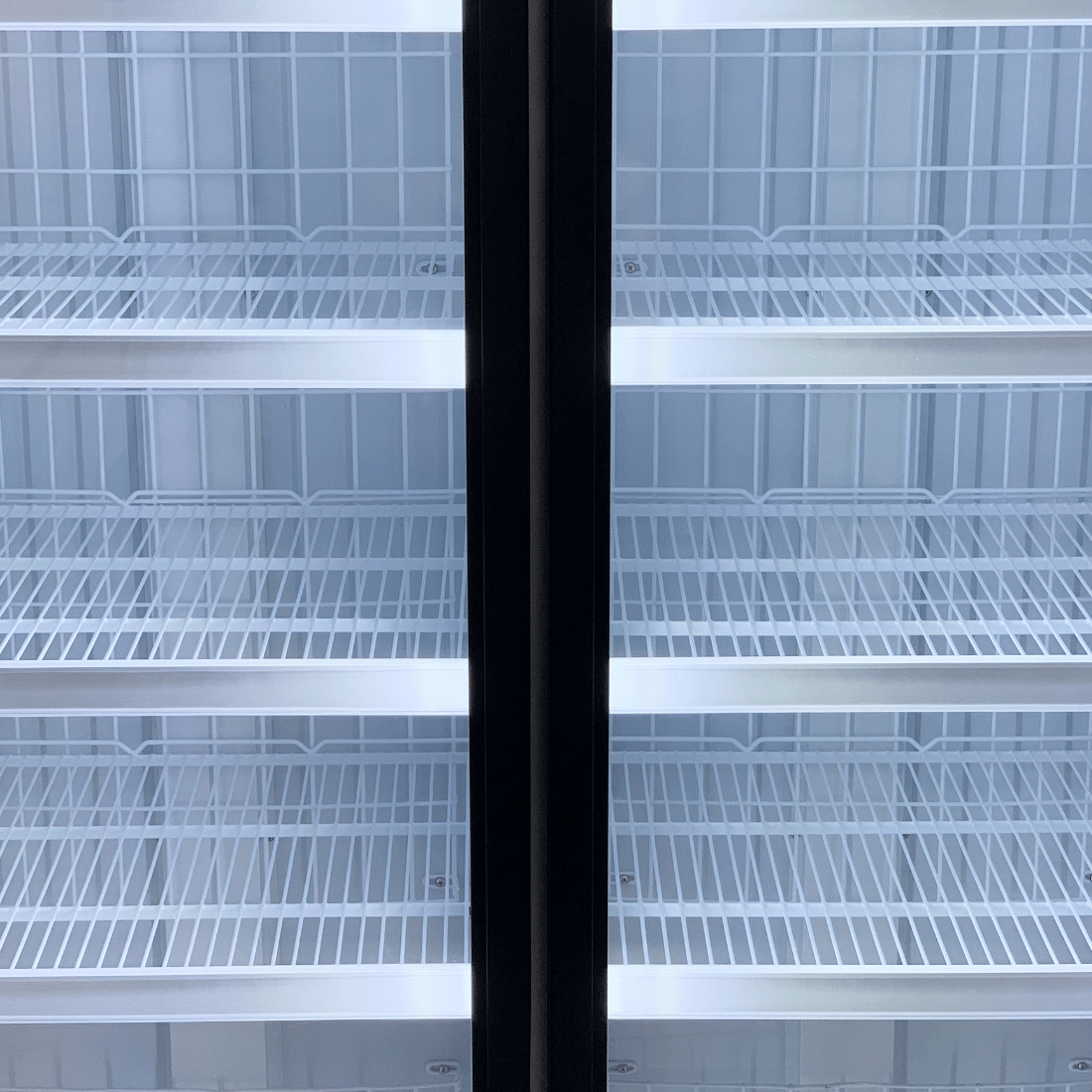 Thermaster Double Door Supermarket Fridge – LG-1000BGBM