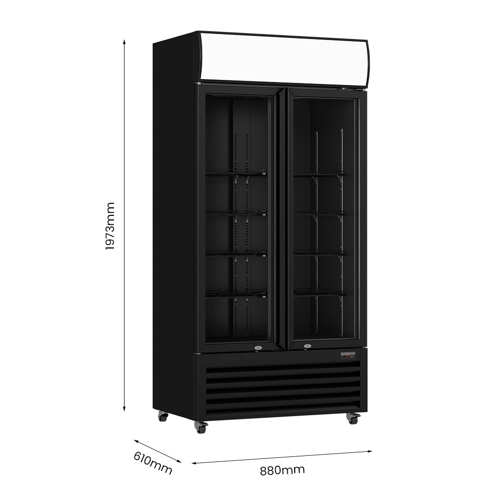 Thermaster Double Glass Door Colourbond Upright Drink Fridge – LG-580BP