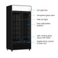 Thermaster Double Glass Door Colourbond Upright Drink Fridge – LG-580BP