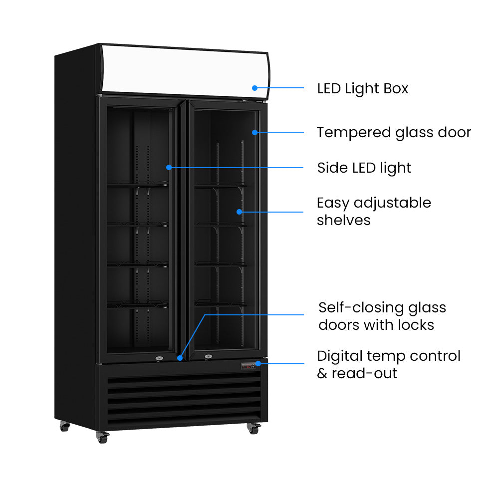 Thermaster Double Glass Door Colourbond Upright Drink Fridge – LG-580BP