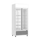 Thermaster Double Glass Door Colourbond Upright Drink Fridge – LG-580P