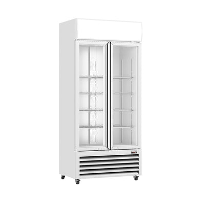 Thermaster Double Glass Door Colourbond Upright Drink Fridge – LG-580P