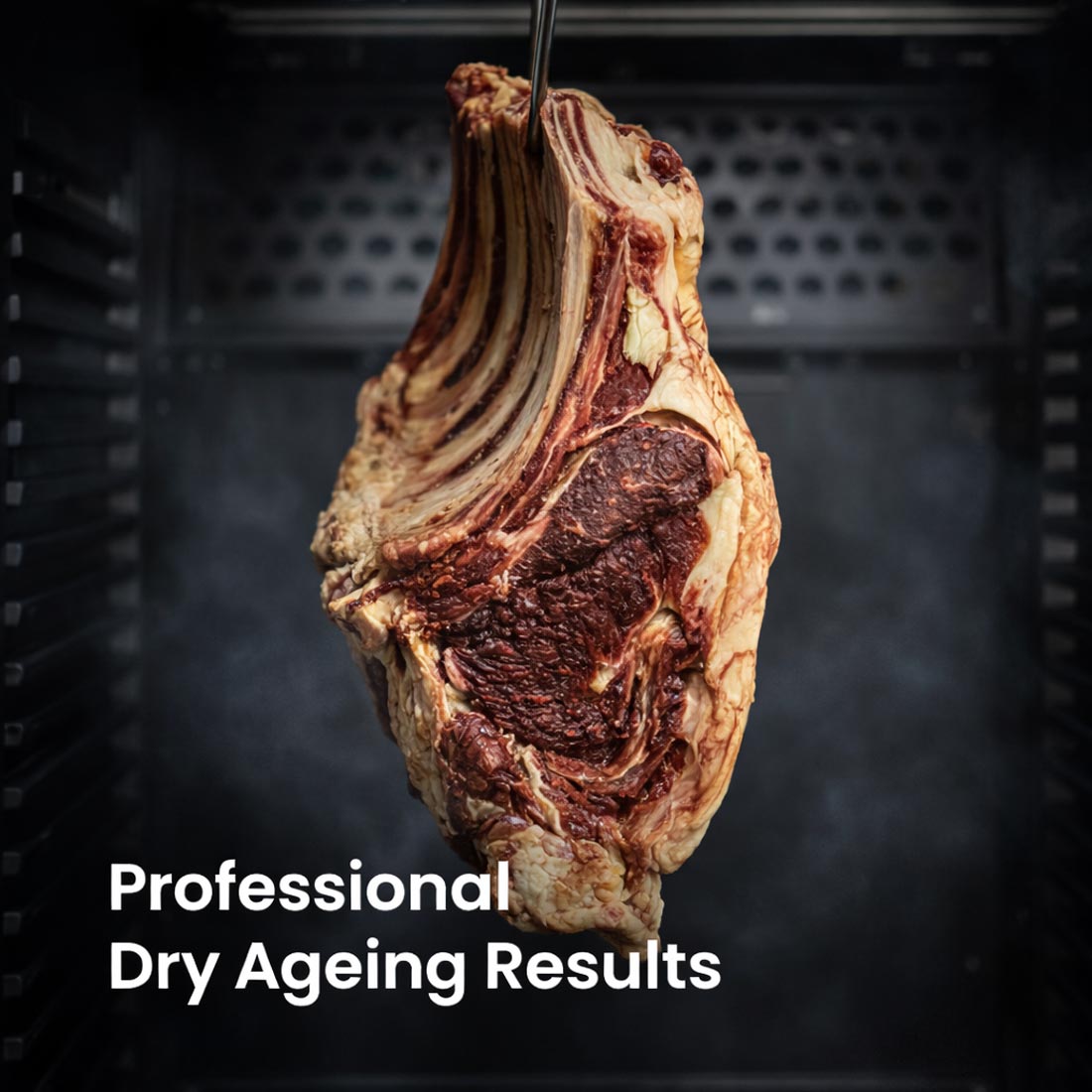 Thermaster Dry Aging Cabinet – MA400