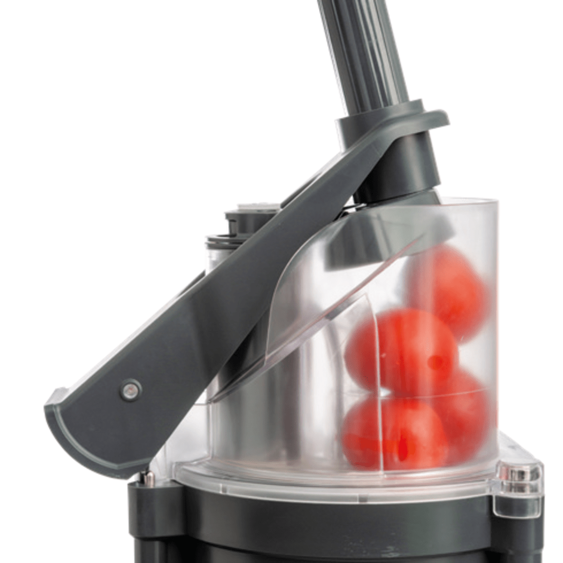 DITO SAMA PREP4YOU Combination Cutter/Slicer 9 Speeds 2.6L Stainless Steel Bowl – P4U-PV201S